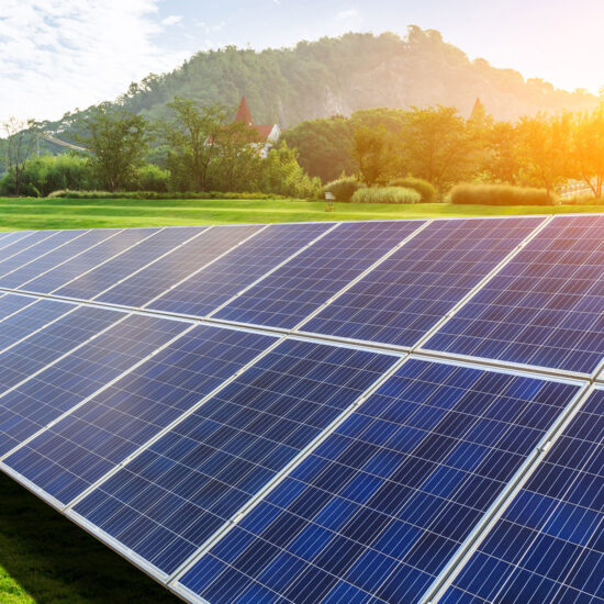 panel solar rodeado de naturaleza